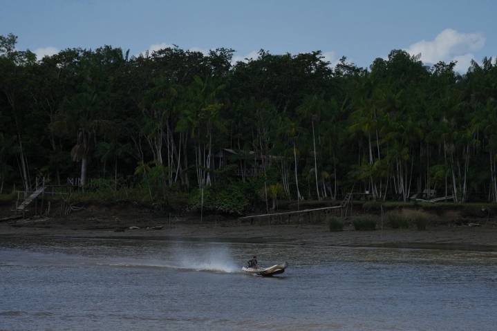 Railway project in the Amazon raises questions over Brazil’s efforts to stop deforestation