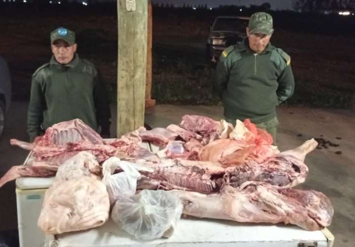 Allanamientos en Santa Rosa y Curuzú Cuatiá revelan faenas irregulares