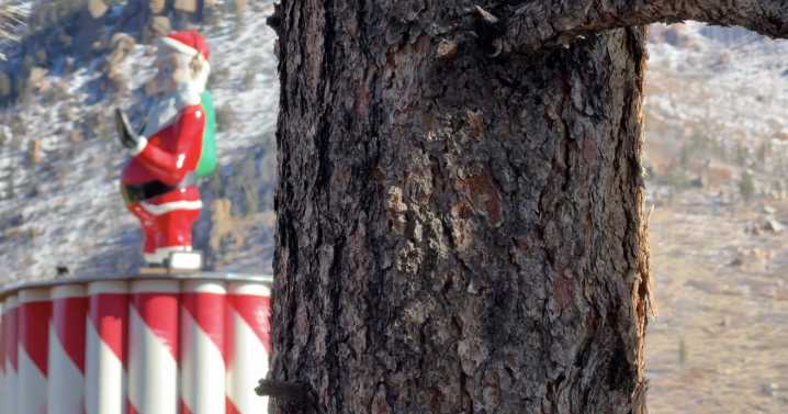 Meet the man who gets to work at the North Pole before Santa Claus