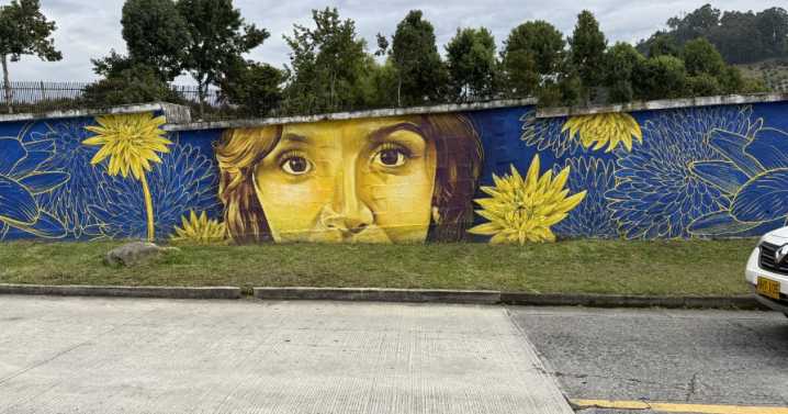 Un mural sobre daltonismo en Manizales busca acercar el arte a la inclusión: ¿dónde está ubicado?