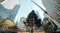 Rockefeller Center Christmas Tree arrives in Manhattan
