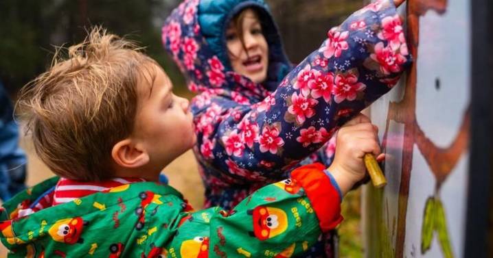 Haldon Forest teams up with Father Christmas for magical trail