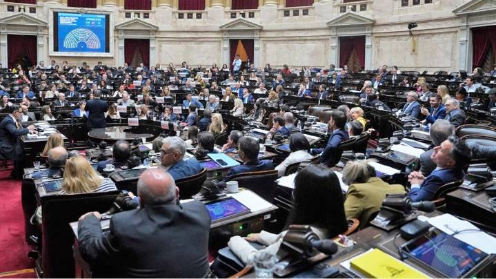 La "motosierra" llegó al garaje del Congreso: rematan 20 autos oficiales