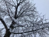 Winter storm watch: Up to 10 inches of snow could hit Northeast Ohio