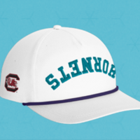 Hornets to host Gamecock Night at Spectrum Center