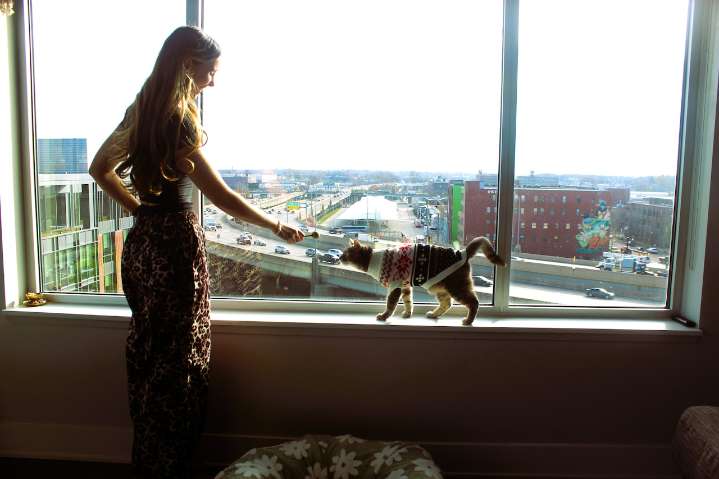 TikTok famous ‘S-curve kitty’ brings comfort to Grand Rapids commuters