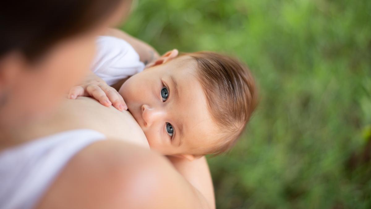 Descubren cómo la lactancia refuerza la inmunidad contra el cáncer de mama