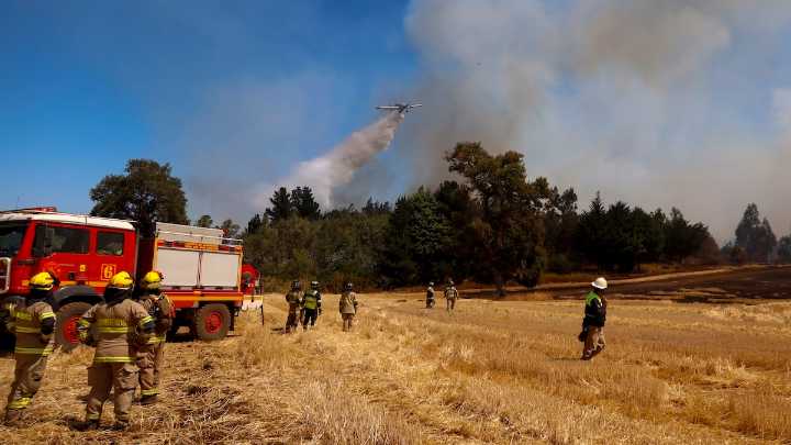 Diputada UDI cuestionó retraso en la tramitación de la nueva Ley de Incendios