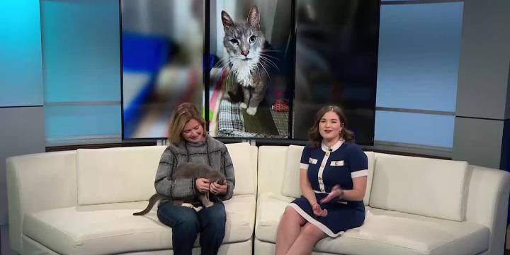 Pet of the Week: Meet Doug!