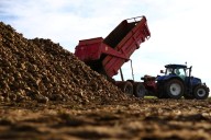 EU agrees to relax green rules in farming subsidy reform