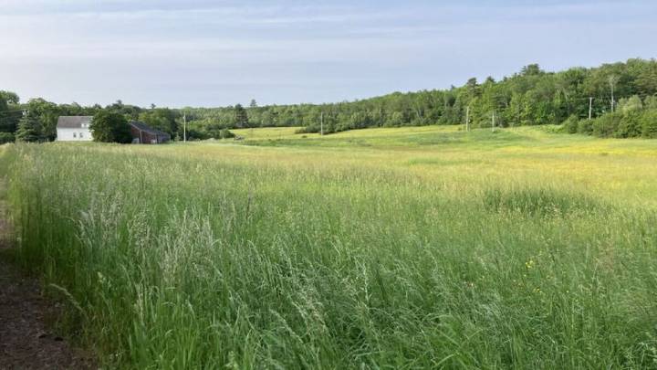 Midcoast nonprofits team up to preserve historic farmland