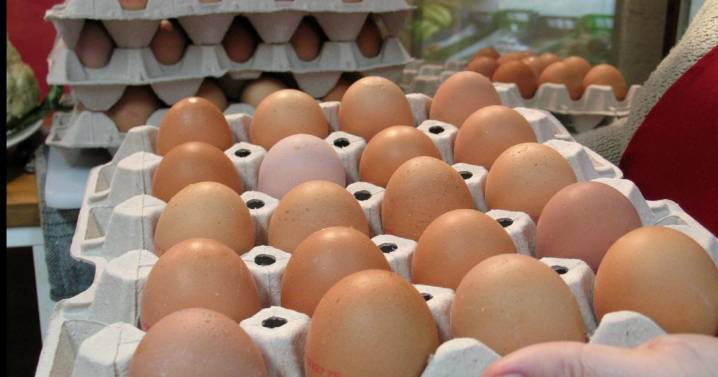 La gripe aviar encarece, aún más, los huevos y lo peor está por llegar