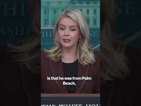 Leavitt says Epstein emails prove Trump 'did nothing wrong' #shorts