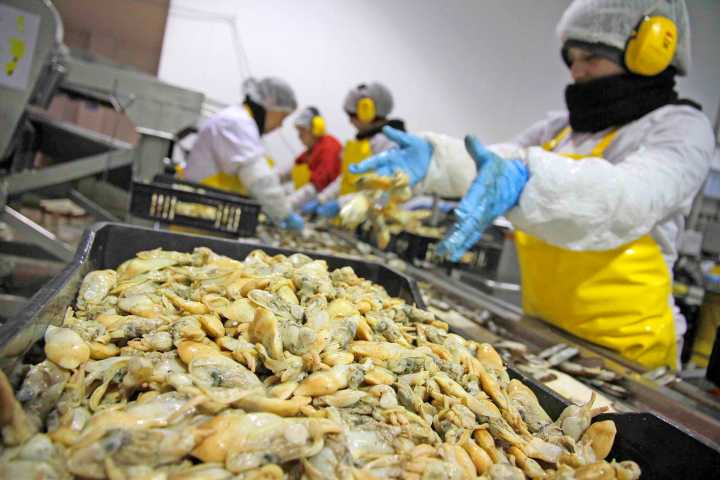 INE: Índice de Producción Industrial aumentó 1,5% interanualmente en septiembre de 2025