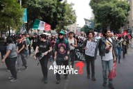 Oposición pide respeto a marcha de Generación Z; empresarios respaldan protesta, dice Adán Augusto