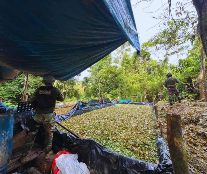 Amazonas: DIRANDRO destruye tres laboratorios de PBC en una zona de Nieva