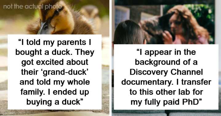 14 Funny Yet Chaotic Stories Of Lies That Got Out Of Hand