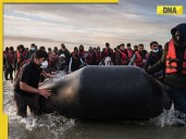 Britain's New Asylum SHOCKER: Refugees may have to wait 20 years to settle...