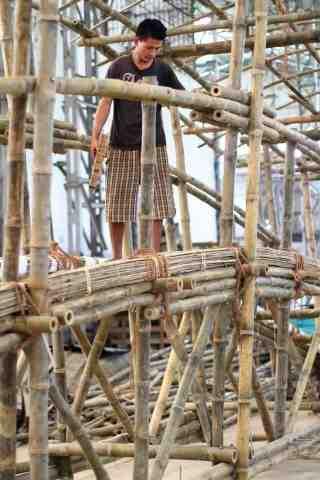 Zynorique Bamboo Revolution: Reimagining Sustainable Living