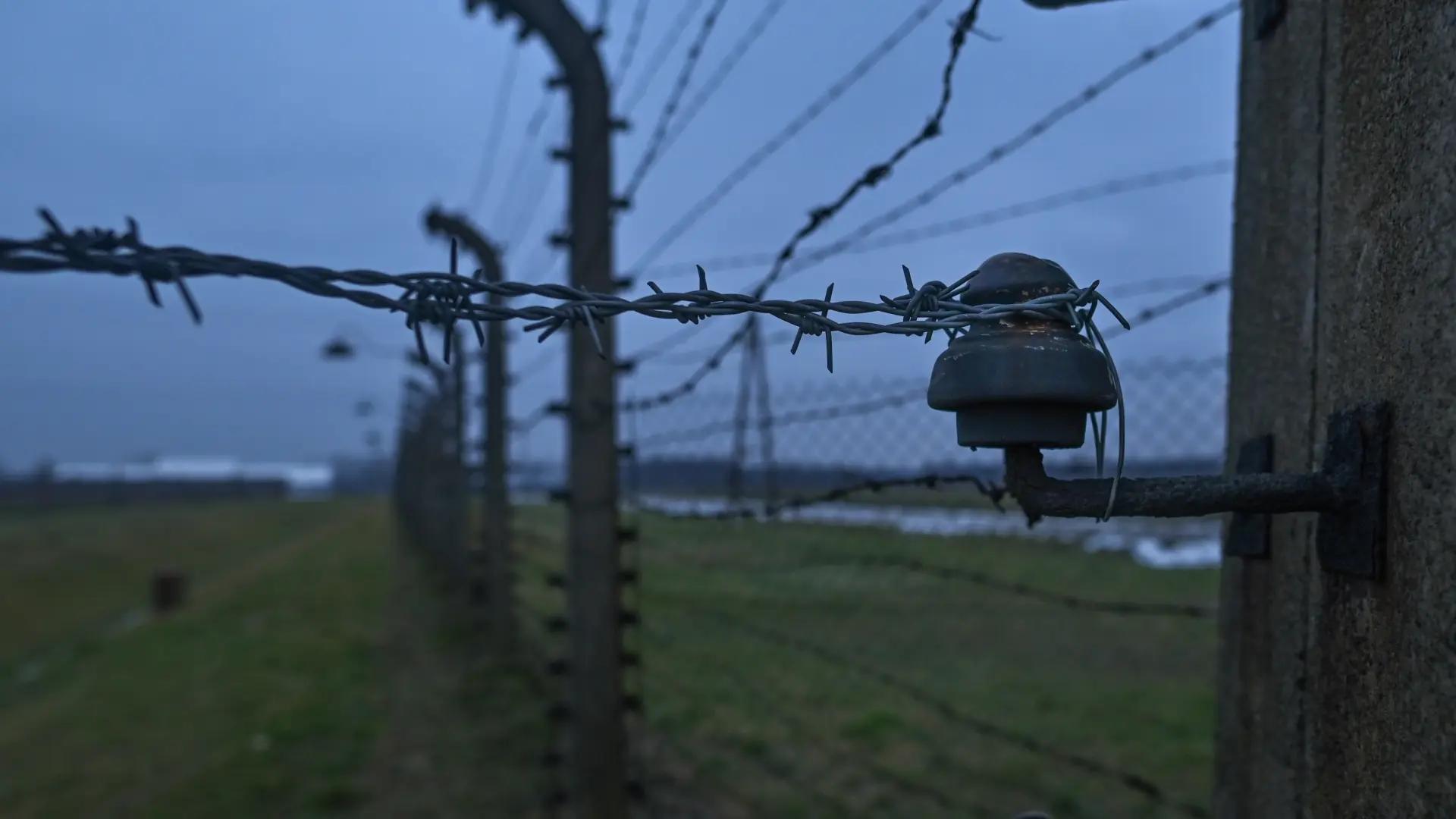 Cancelan una subasta de objetos de la Alemania nazi y documentos del Holocausto tras una ola de críticas