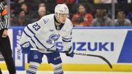 OHL suspends Steelheads’ Dragusica after slashing Generals’ Blaseg 