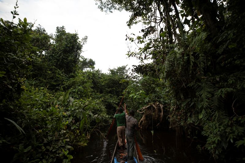 Exclusive-France leads $2.5 billion initiative to safeguard Congo's forest