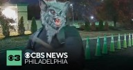 Man wearing a wolf mask wanted for allegedly robbing cannabis dispensary in New Jersey