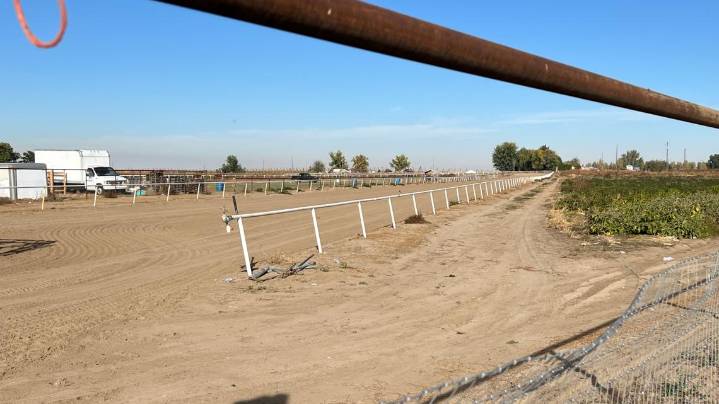 FBI raid at Idaho horse track shows how immigration is a top focus across law enforcement