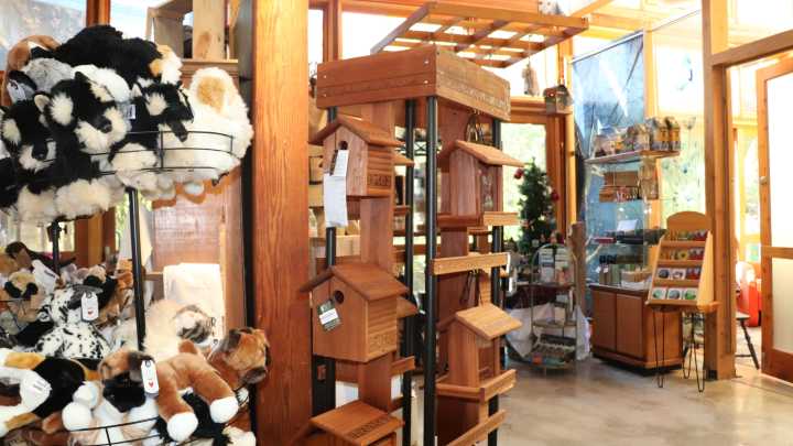 13 unique places to shop for Christmas gifts in Louisville