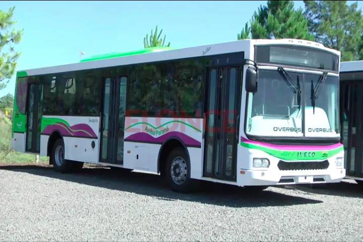 Tres líneas nuevas y “ningún barrio sin servicio”, los ejes del nuevo transporte urbano