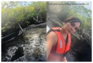 Turistas provocan a cocodrilo en manglar de Tulum; pensaban que estaba disecado