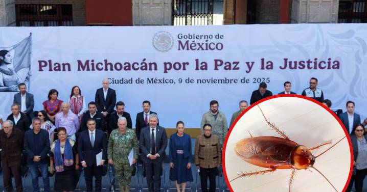 Plan Michoacán de Claudia Sheinbaum traerá un “efecto cucaracha”, advierten expertos al señalar que “es mejor que nada”, pero provocará que los grupos del crimen organizado solo se desplacen a otros l