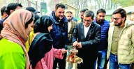 CSIR-IIIM starts Tulip Plantation at its Field Station Pulwama