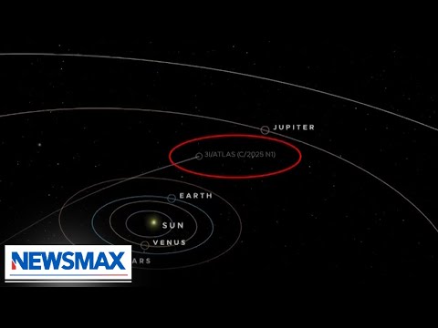 'It's arrogant to believe there aren't alien lifeforms': Dr. Avi Loeb on mystery object in space