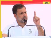 Rahul Gandhi reacts to Bihar Election Results 2025: 'Truly surprising'