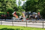 NYC Horse-Drawn Carriages Survive Ryder’s Law Vote: Here is What Happened