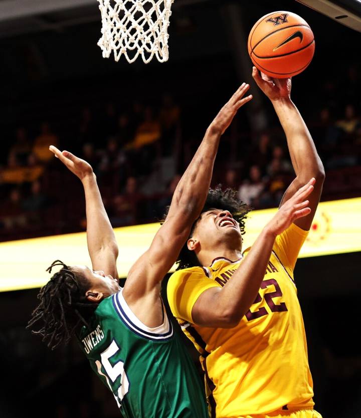 Gophers center Robert Vaihola unlikely to play against San Francisco