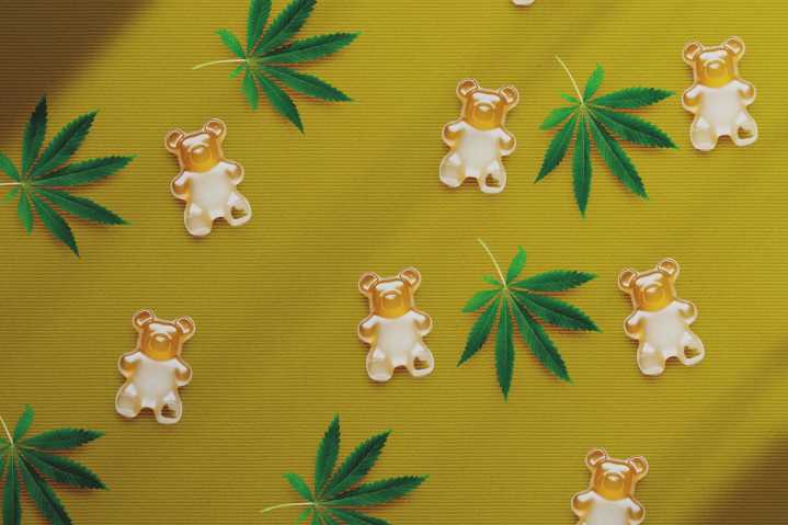 Get Lit on the DL: The Most Discreet Weed Products for Surviving the Holidays