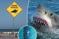 Beware of the world’s shark attack hotspots
