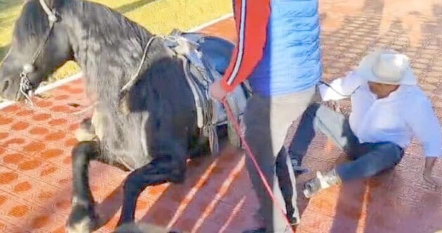 El fascismo 4T / Aguas con la 5T / Maru pide imposibles / Cae el caballo en palacio