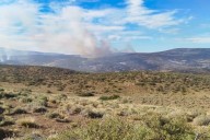 Nuevos incendios en el sur. Seis focos pusieron en vilo a una provincia: “Situación especialmente compleja”