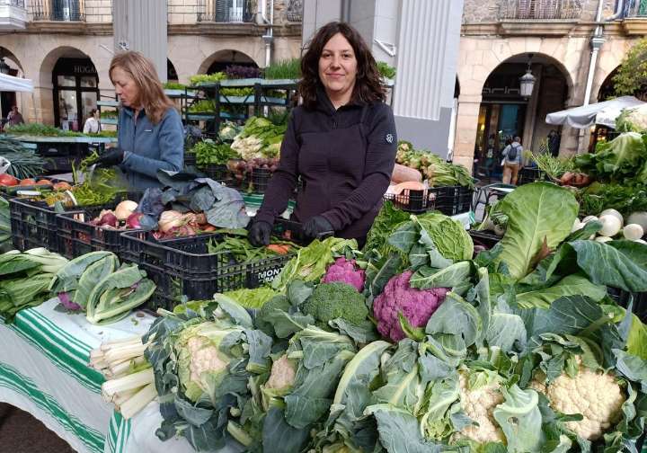 Azaloreak kolore morea hartu du, udazkenari keinu egiteko