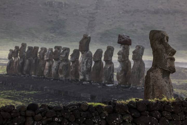 ¿Cómo llegaron a sus sitios los gigantes de la isla de Pascua? Caminando, según un estudio