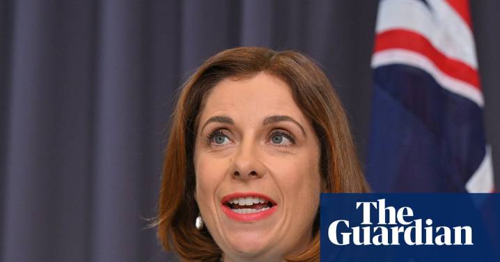 Australian government adds Reddit and Kick to under-16s social media ban – video