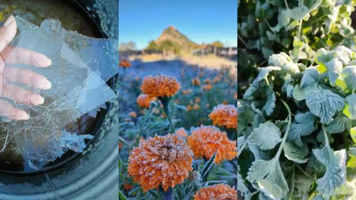 Paisaje Invernal en Tlaxcala: Llegan a Temperaturas Bajo Cero por Primera Helada del 2025