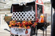 Gov. Whitmer pardons turkey sisters ‘Faygo’ and ‘Vernors’