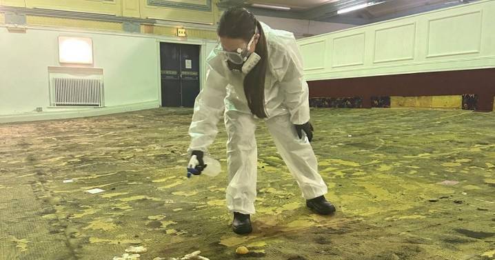 Toxic mushrooms spark urgent biohazard event in abandoned UK bingo hall