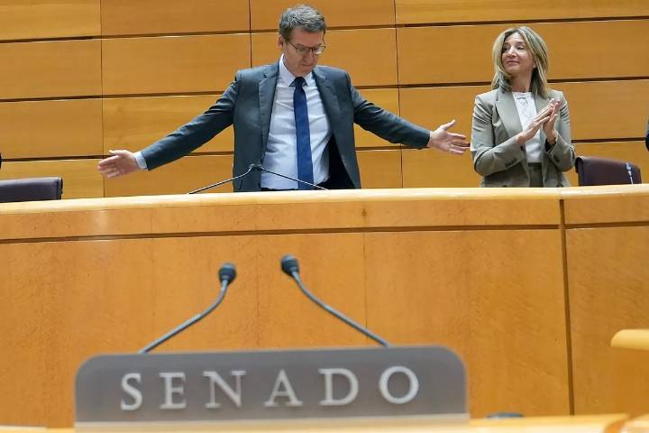 El PP aprovecha su mayoría en el Senado para forzar un cambio en el Código Penal y que quien corte suministros a una casa okupa no incurra en un delito de coacciones