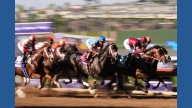 Forever Young beats defending champion Sierra Leone to win $7M Breeders' Cup Classic