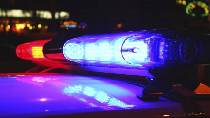 Why did a senior Florida man kill his two brothers? What we know